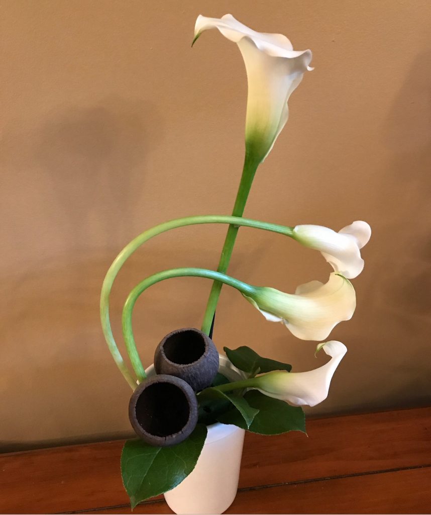 Floral Designs Everyday Floral Designs by joey